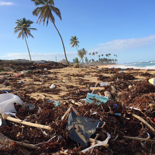 Plastic Pollution - The Effects On Our Health & Environment