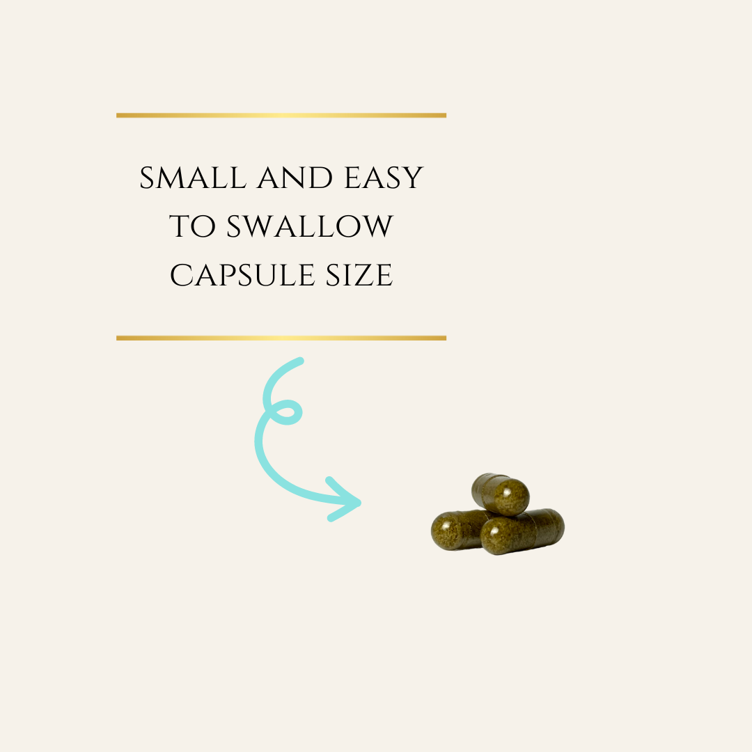 Bundle & Save: Organic & Vegan 25MG CBD Capsules, 3 bottles