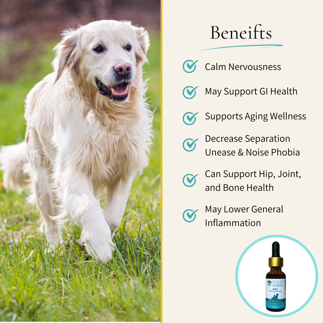 FurEver Vital - Wild Alaskan Salmon Oil + 300MG CBD | 600MG Chamomile Pet Extract