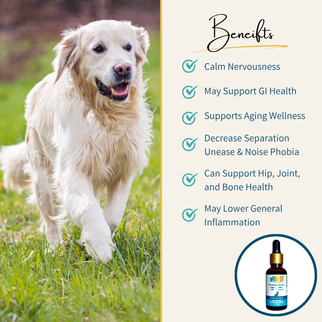 FurEver Vital Pet Tincture Benefits List: Calm Nervousness, May Support GI Health, Supports Aging Wellness, Decrease Separation Unease & Noise Phobia, Can Support Hip, Joint, and Bone Health, May Lower General Inflammation