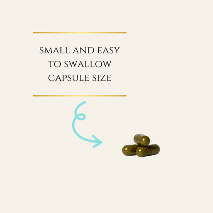 Organic & Vegan 25MG CBD Capsules - Small and Easy to Swallow