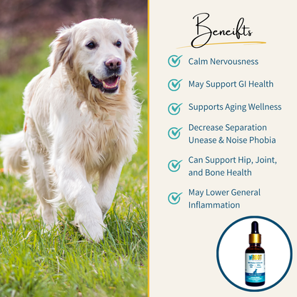 FurEver Vital Pet Tincture Benefits List: Calm Nervousness, May Support GI Health, Supports Aging Wellness, Decrease Separation Unease & Noise Phobia, Can Support Hip, Joint, and Bone Health, May Lower General Inflammation